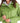 Marmot Women's Precip Eco Rain Jacket Green Size X-Small