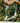 Wolven - Quick-drying Active Jogger Pants