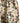 Heybo Outdoors - Men's Bay Shorts