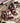 Very G - Women's Moove Out The Pasture Booties