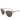 Remo Tulliani - Seduction Sunglasses
