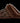 Ugg - Scuffette Caspian