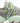 Sorel - Women Kinetic Impact Lace Sneaker