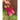Very G - Women's Culver Wedge Sandals
