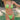 Montce - Brasil Bikini Bottom