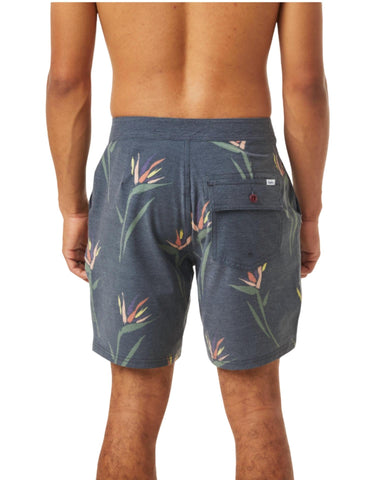 Katin - Paradise Hybrid Trunk