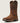 Ariat - Women's Anthem Patriot Waterproof Western Boots - MEDIUM/WIDE