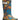 Bogs - Boy's Dino Rain Boots