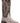 Dan Post. - Women's Python Exotic Stockman Boot