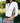 Lohla Sport - The Megan 3/4 Sleeve Top