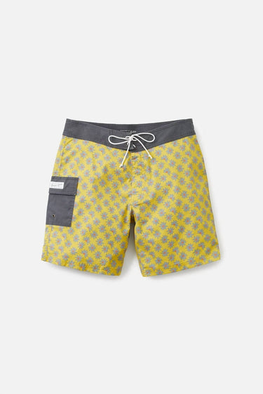 Katin - Mache Trunk