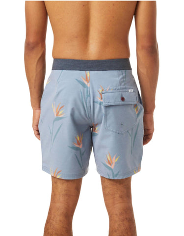 Katin - Paradise Hybrid Trunk
