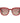 Toms - Unisex Memphis Sunglasses