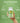 Oomph Body Slim & Trim Aminos - 120 Capsules